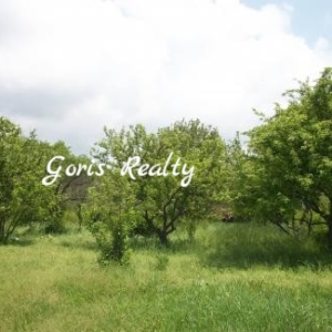 2-senyakanoc-bnakaran-vacharq-Yerevan-Arabkir